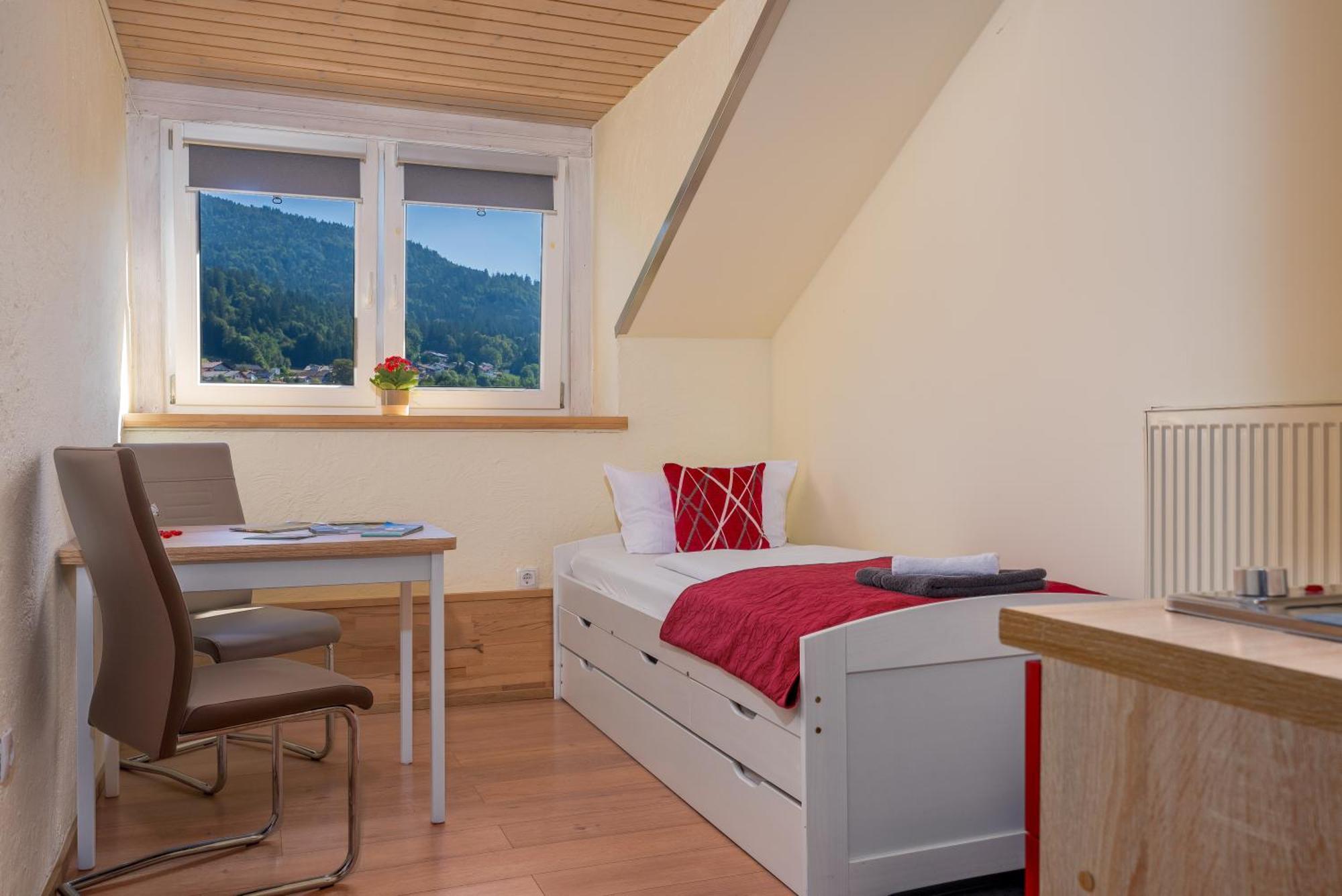 Pension Bayerwald Mit Ferienwohnung Bodenmais Exterior photo